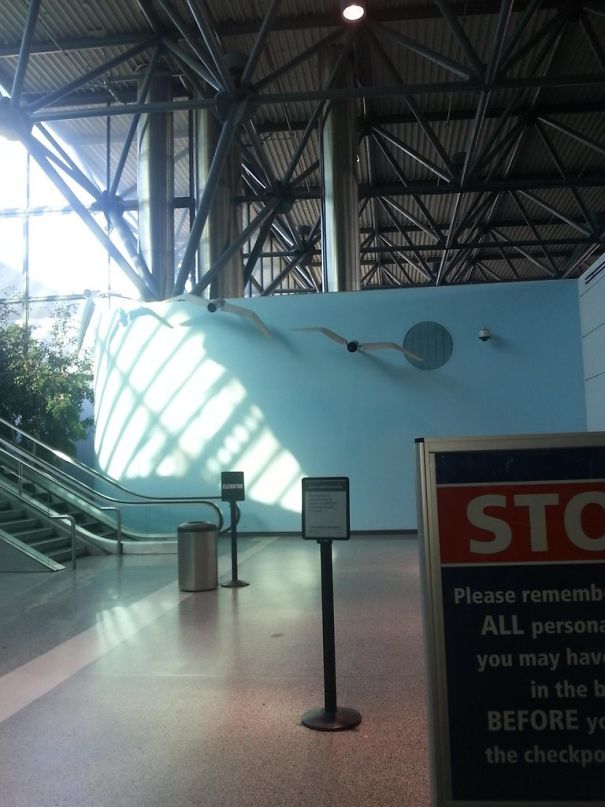 Clever Way Of Getting People To Look Directly At Camera. The Wings Flap (Oakland Airport)