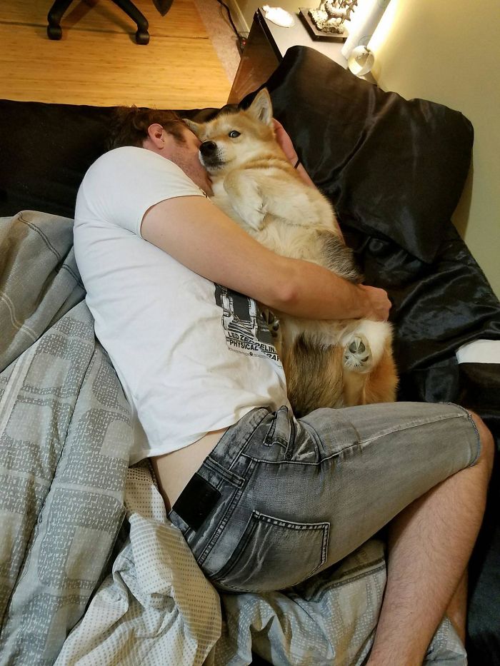 He pillado a mi novio con una perra en la cama