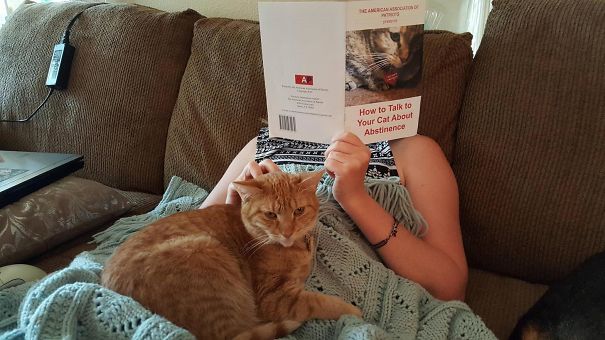 Walked In On My Girlfriend Reading To Our Cat
