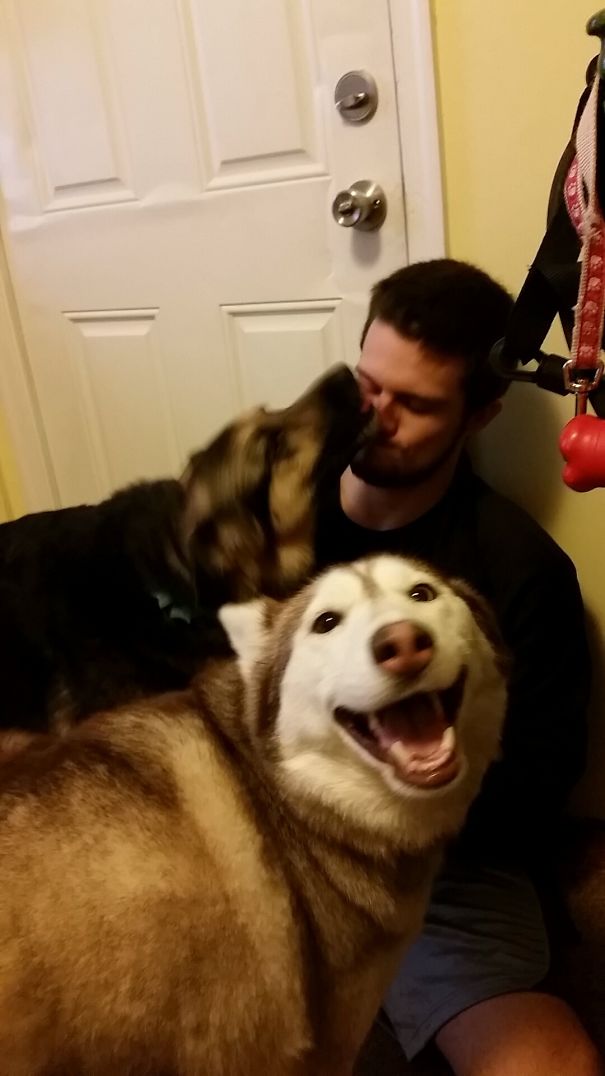 I Think My Girlfriend's Dogs Were Happy To See Me