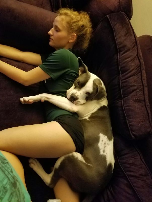 My Boyfriend Has A Whole Album Of Pictures Of Me Falling Asleep With The Dog. This Is My Favorite
