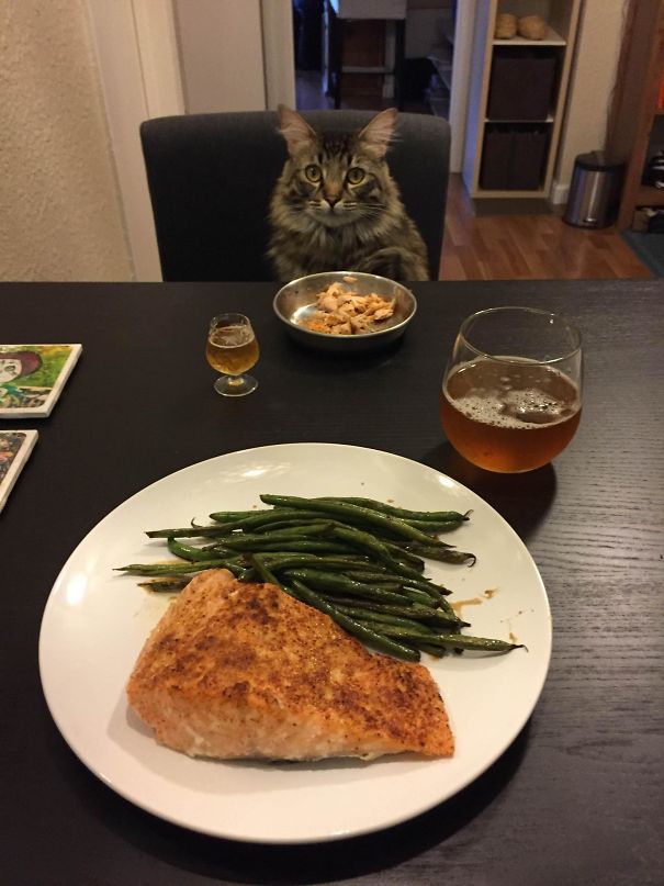 Dinner For Two. My Girlfriend's Been Out Of The Country For A Little Too Long