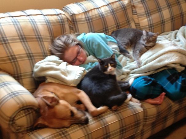 My Girlfriend Is A Veterinarian. This Is How I Found Her Today After Last Night's Overnight Shift