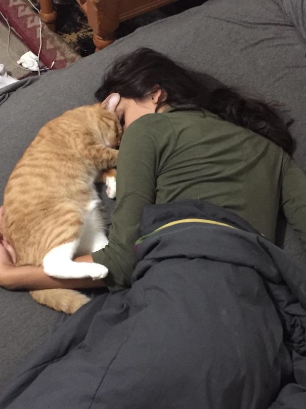 I Found My Girlfriend And My Cat Cuddling