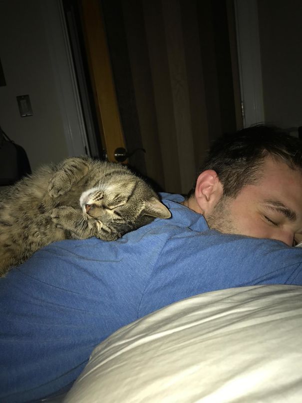 Begged My Wife To Adopt A Cat, She Finally Caved The Other Day. This Was Taken By Her This Morning At 6am