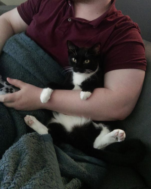 Wife Thinks Our Cat Is Weird; I Think He Just Enjoys Having Some Dad Time