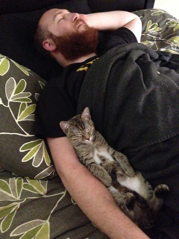 My Wife Took A Pic Apparently This Is How We Sleep