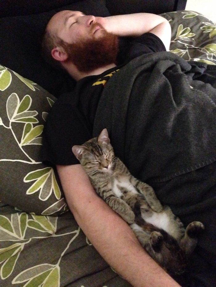 Mi mujer hizo una foto para mostrarme cómo dormimos juntos el gato y yo