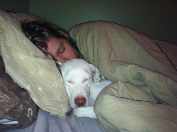 My Husband Is Going To Kill Me For Posting This, But This Is How Him And Our Dog Sleeps Every Night