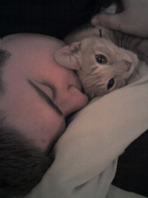 My Boyfriend And Cat Nap Like This All The Time