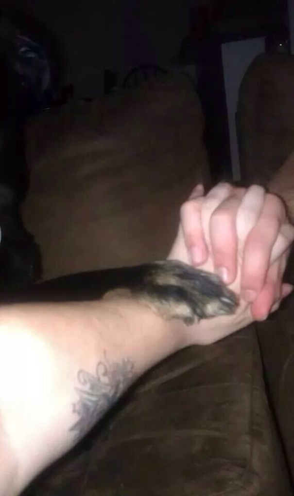 My Husband And I Were Holding Hands And Marley Felt A Little Left Out Until He Joined In
