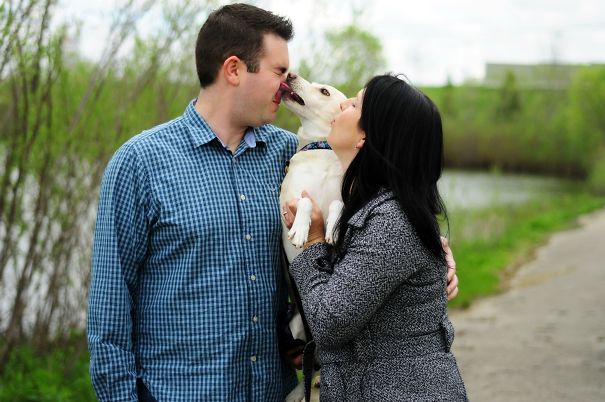 Our Dog Got A Little Jealous Of The Kiss Scene In Our Engagement Photos