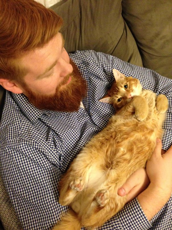 I Think My Cat Likes My Boyfriend More Than He Likes Me