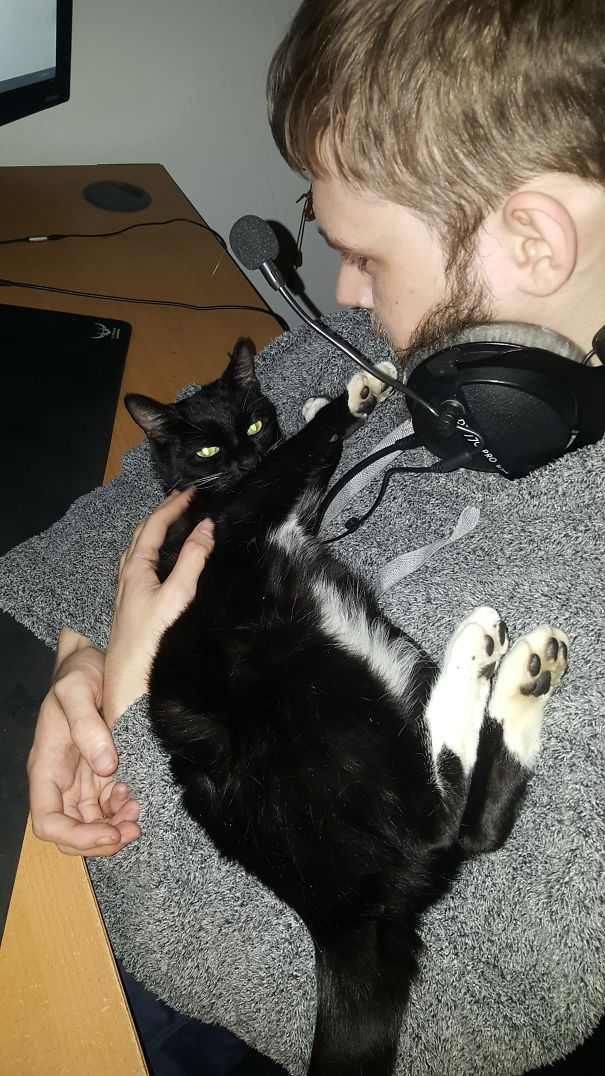 When My Cat Loves My Boyfriend More Than Me