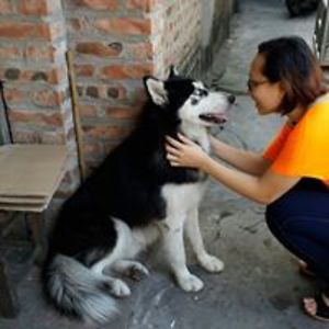 doanmaihuongktqd avatar