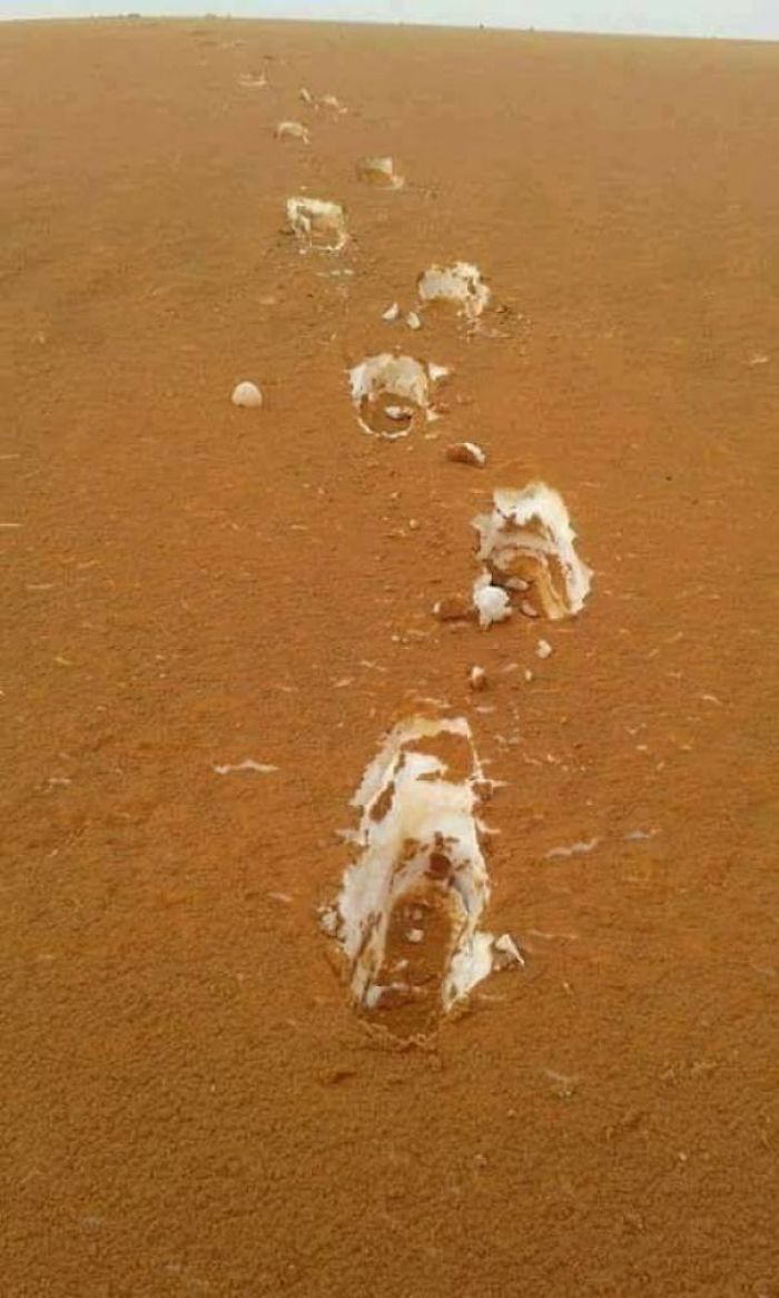 Nieve cubierta de arena en el desierto de Argelia que parece tiramisú