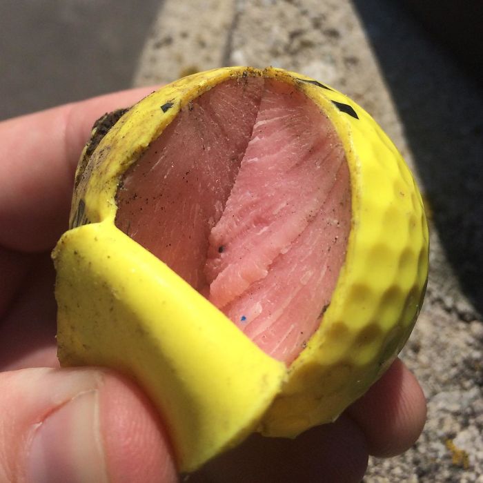 Pelota de golf rota que parece estar hecha de carne