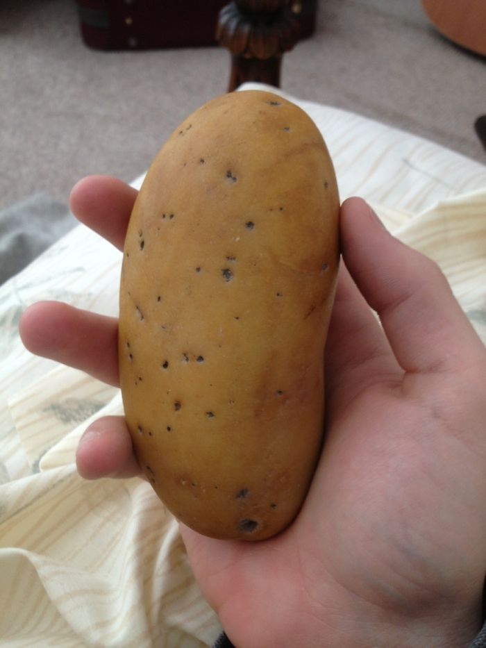 Piedra que parece una patata