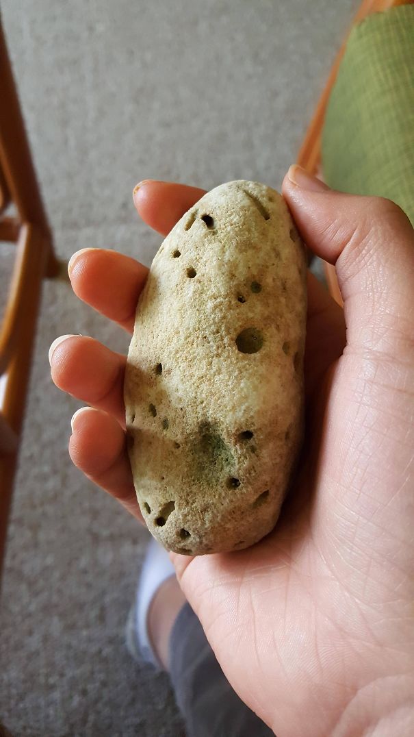 This Rock Looks Like A Potato