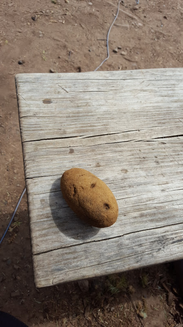 This Rock Looks Just Like A Potato