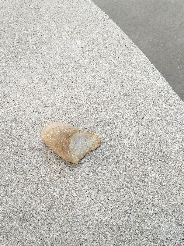 This Rock I Found Am The Park Looks Like A Breadstick