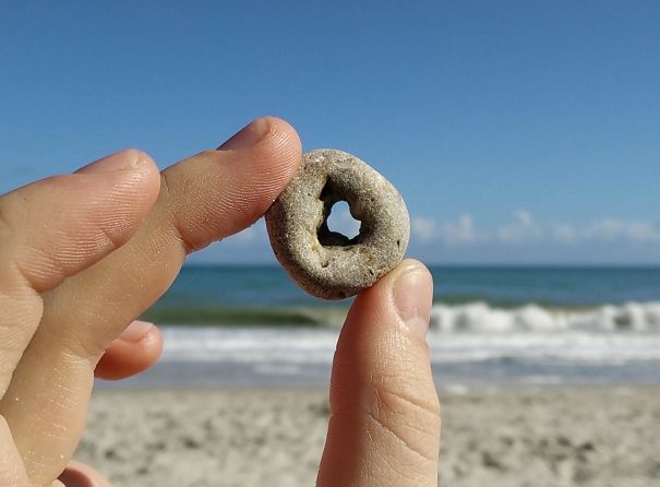 This Rock I Found On The Beach Looks Like A Cheerio