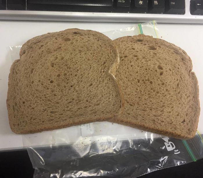 Pregnant Wife Forgot To Put Filling In My Sandwich Due To Her Mooshbrain
