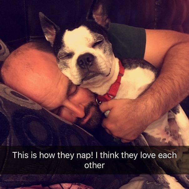 This Is How They Nap