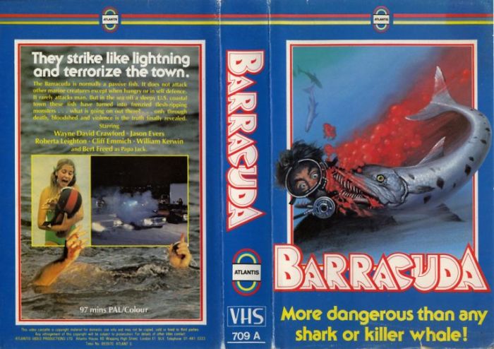 These Vhs Horror Movie Covers Will Make Fans Travel In Time
