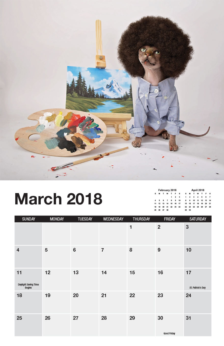 I Made A Calendar Of Sphynx Cats For 2018 That Takes Nude To A Whole New Level
