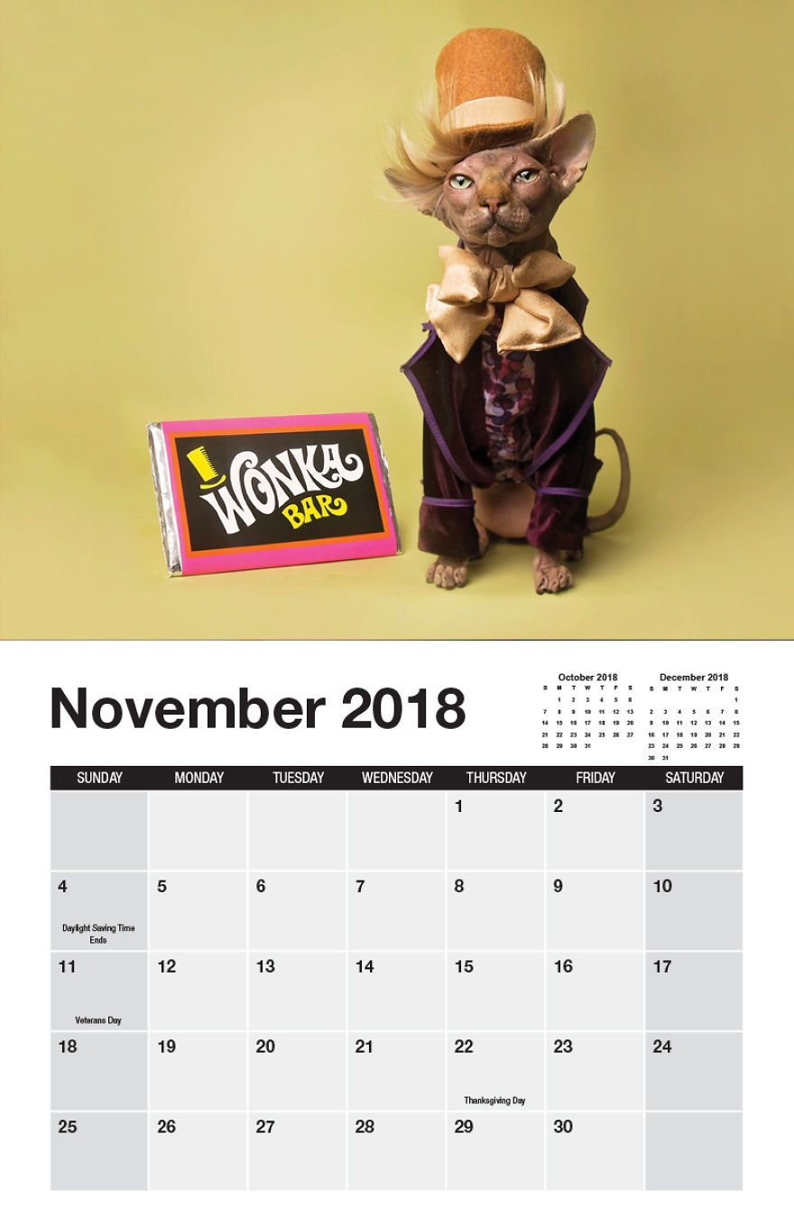 I Made A Calendar Of Sphynx Cats For 2018 That Takes Nude To A Whole New Level