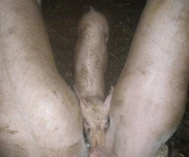 I Went Through These Pictures And Now I Know How Dirty My Mind Is