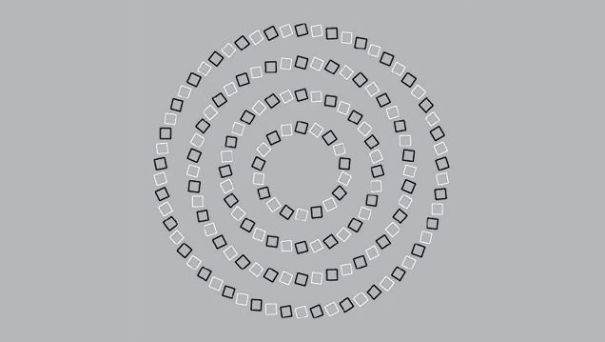 I Found These Optical Illusions That Still Have Me Confused