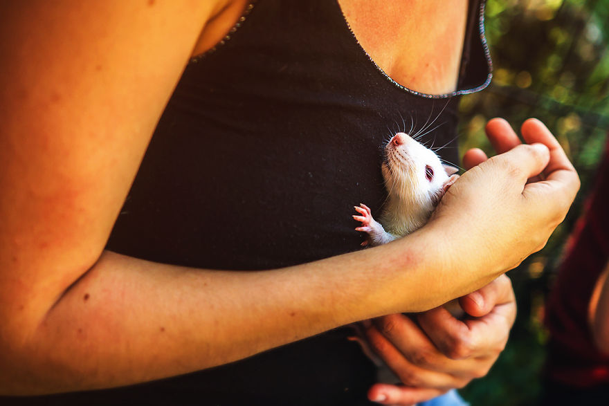 I Photographed Ex-Lab Rats And Mice Going Outdoors For The First Time, And Their Expressions Say It All