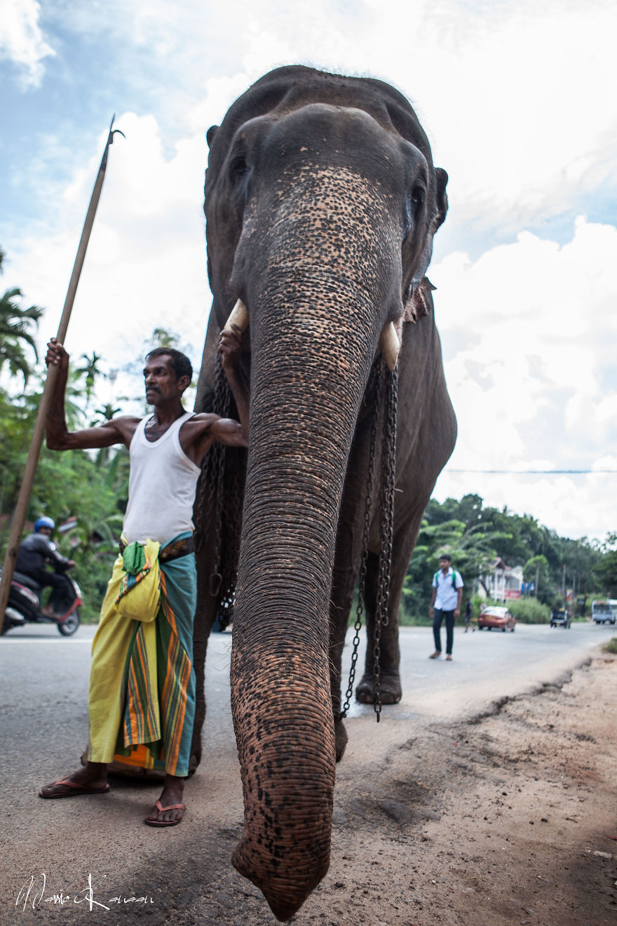 25 Photographs I Captured In Sri Lanka