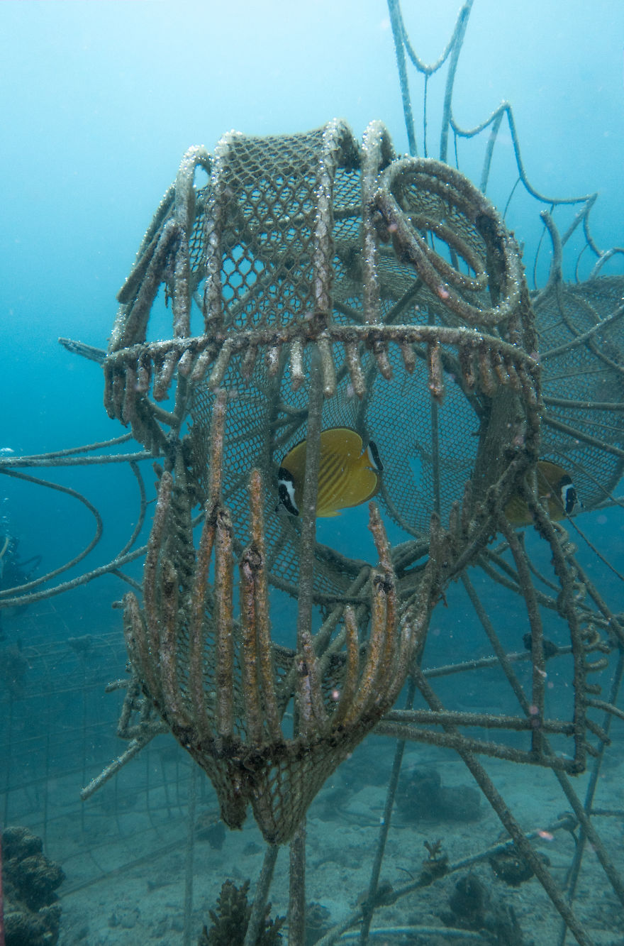 Love Is Blind - Our Latest And Greatest Electrified Artificial Reefs
