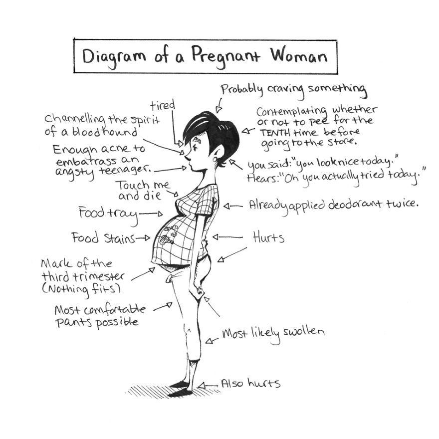 20 Comics About Pregnancy 20 Comics About Pregnancy