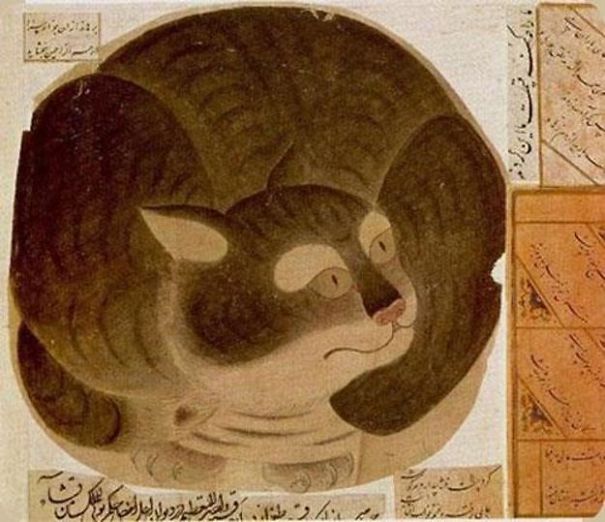 Mohammed's Cat, Muezza Mohammed's Cat, Muezza