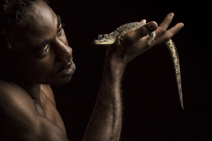 Guardian Of The Reptiles. Booms, A Local Research Technician Cradles An Endangered American Crocodile In Jamaica