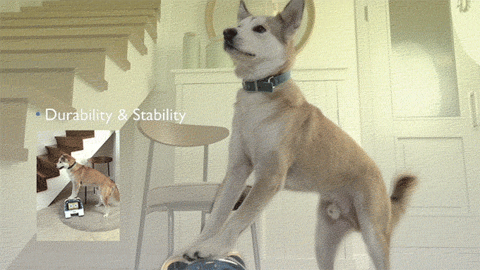 Peddy - The Versatile Interactive Robot For Your Pet