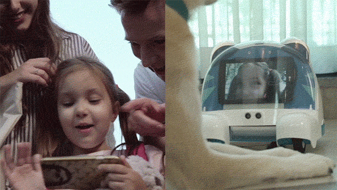 Peddy - The Versatile Interactive Robot For Your Pet