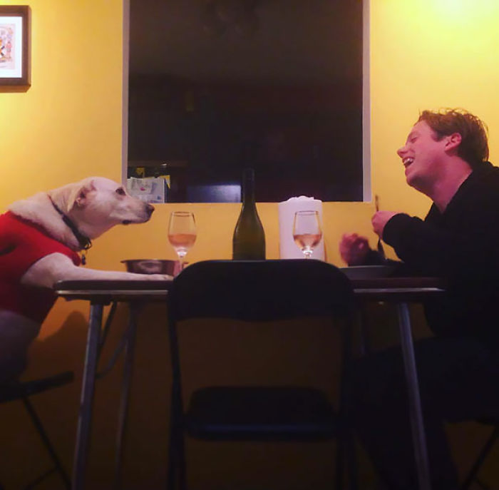 Mi novia está de viaje, así que el perro y yo tuvimos la cena juntos que siempre quisimos