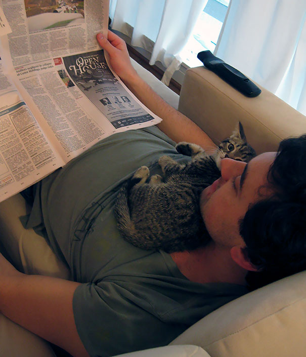 My Boyfriend And Cat Reading The Paper Together