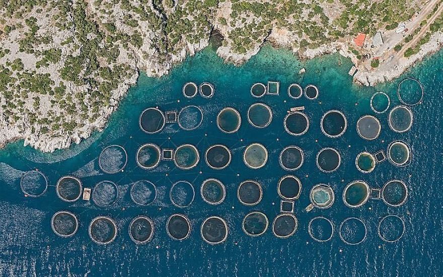 Photographer Does Aerial Photos To Show Very Tidy Beaches, Filled With Symmetry, Order And Colors