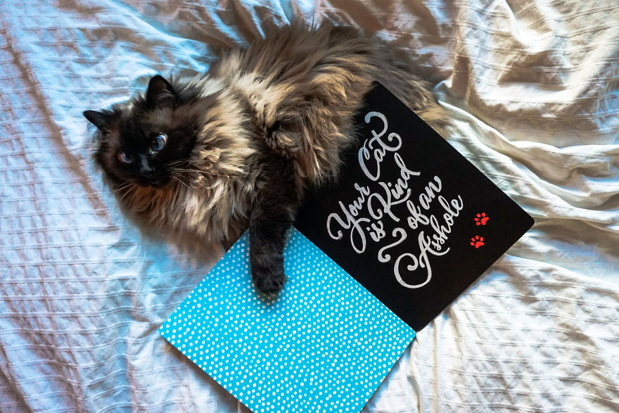 Express Your Irreverent Attitude And Sarcastic Sentiments Through Beautiful Calligraphy In This How-To Lettering Book For Adults Express Your Irreverent Attitude And Sarcastic Sentiments Through Beautiful Calligraphy In This How-To Lettering Book For Adults