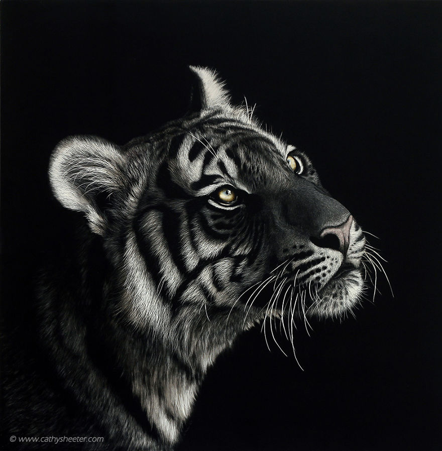 I Create Hyper-Realistic Scratch Drawings On An Ink Coated Board