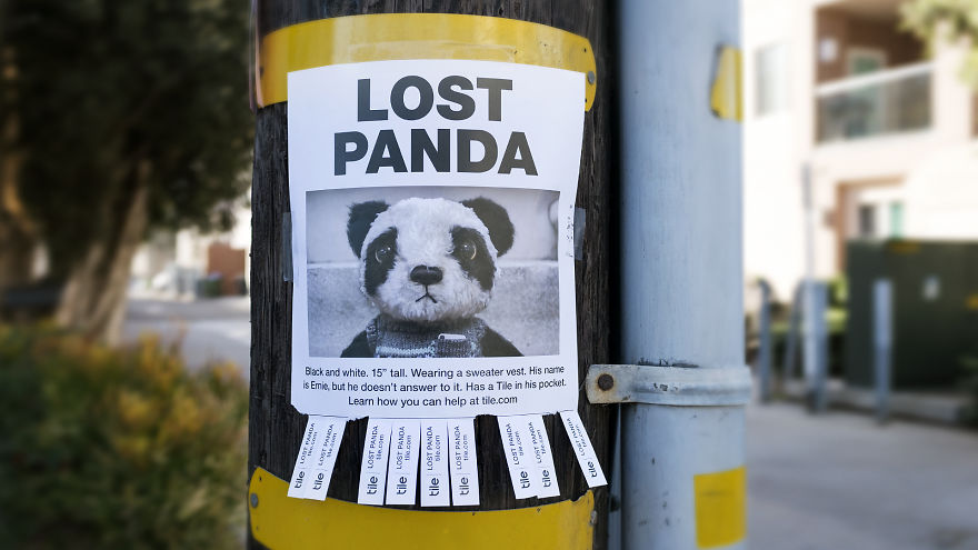 This Lost Panda In A Big City Will Melt Your Heart