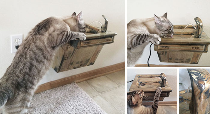 Wooden Cat Drinking Fountain