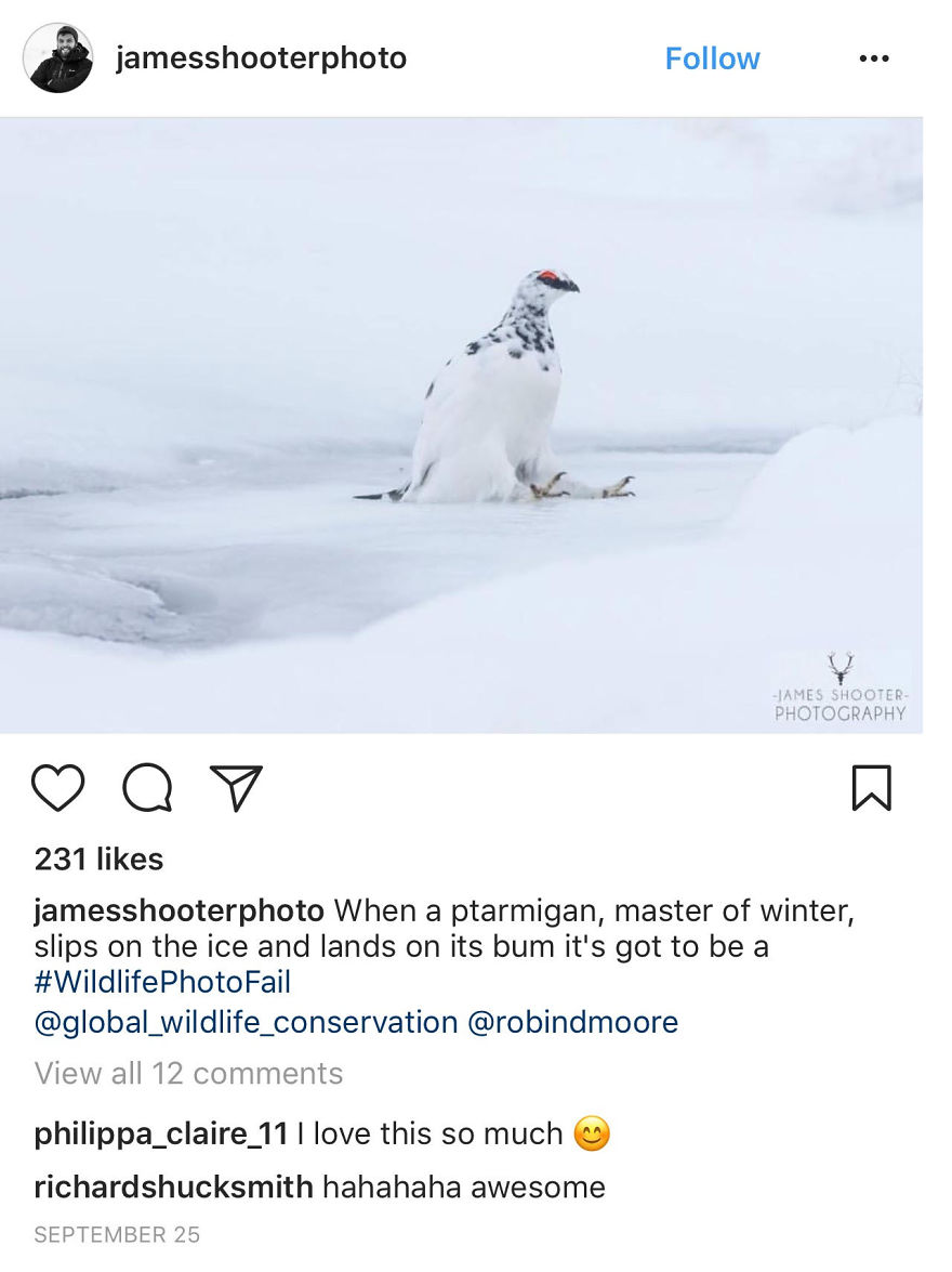 Winning #wildlifephotofail Submissions Reveal Who’s Really In Charge
(Hint: It’s Not The Photographers)