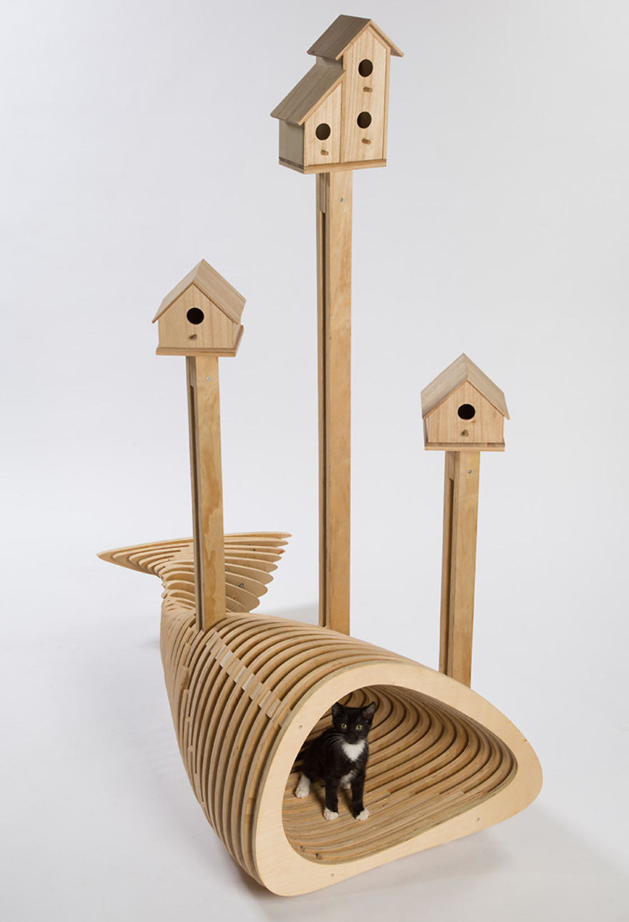 HKS’s “CAnT WE ALL GET ALONG,” A Humorous Composition Of A Fish-Shaped Shelter With Birdhouses Above